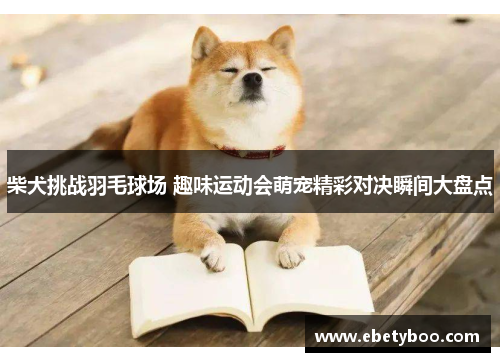 柴犬挑战羽毛球场 趣味运动会萌宠精彩对决瞬间大盘点